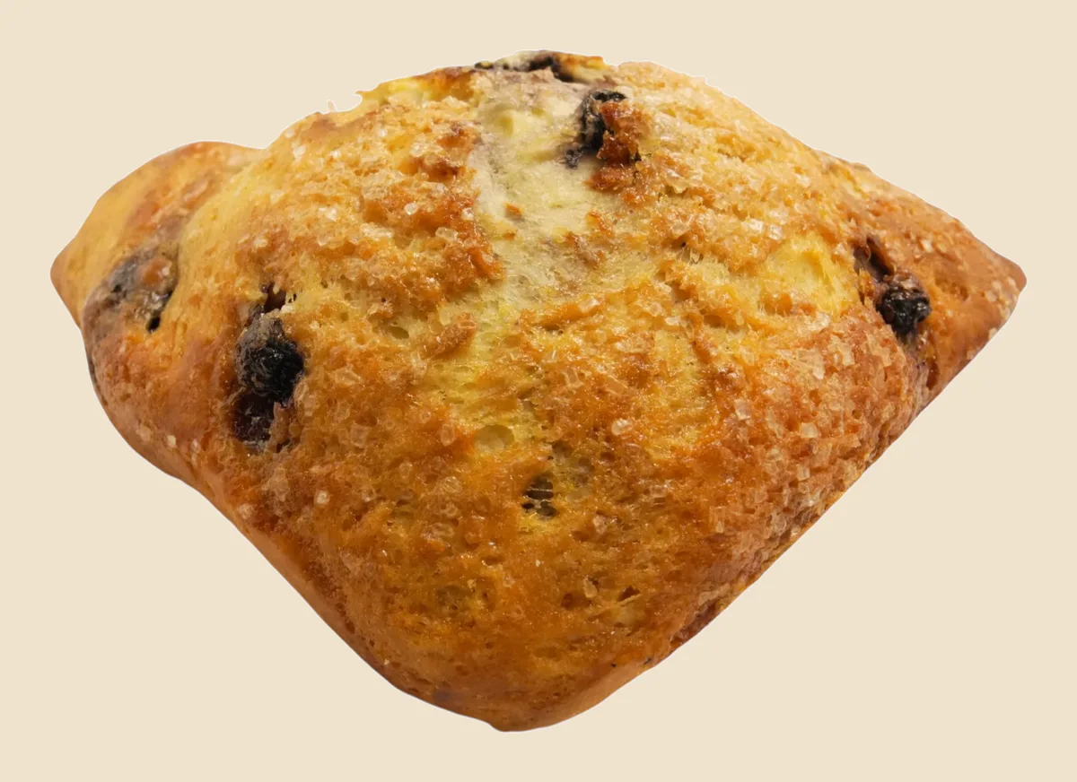 Blueberry Scone